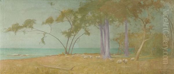 Australian Pastoral - view 1