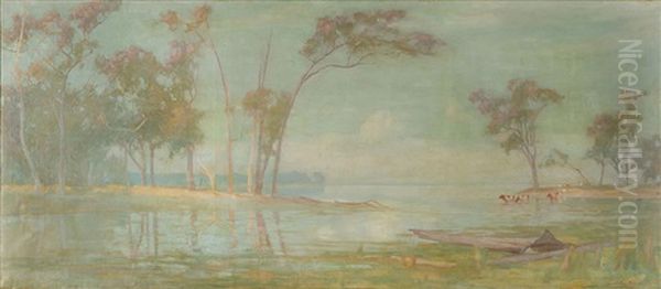 Australian Pastoral - view 1