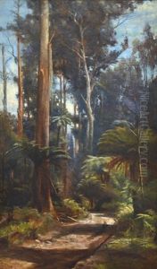 In The Dandenongs by John Ford Paterson