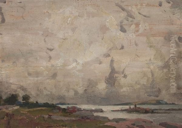 Bathing Rocks, Rough Firth (solway) - view 1