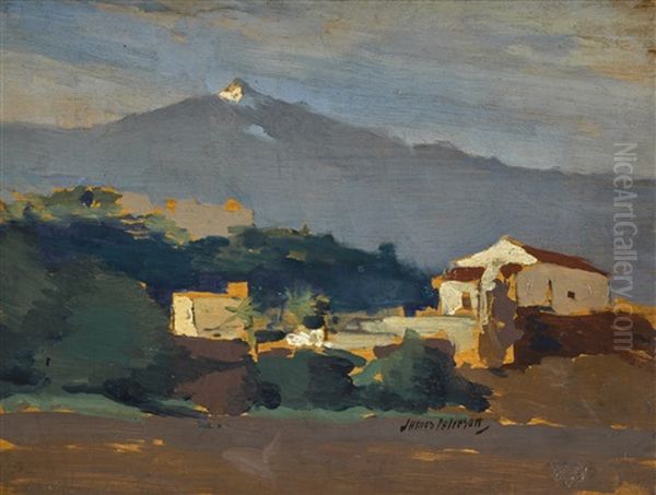 Orotava, Tenerife - view 1