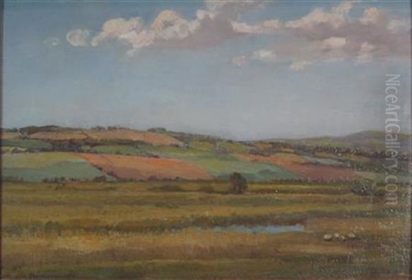 Border Landscape - view 1
