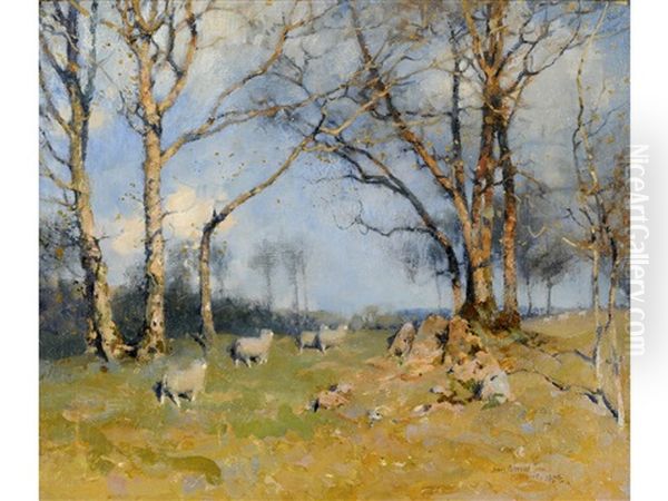 Sheep Under Trees, Moniaive - view 1
