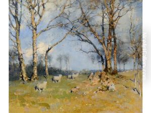 Sheep Under Trees, Moniaive Sheep Under Trees, Moniaive