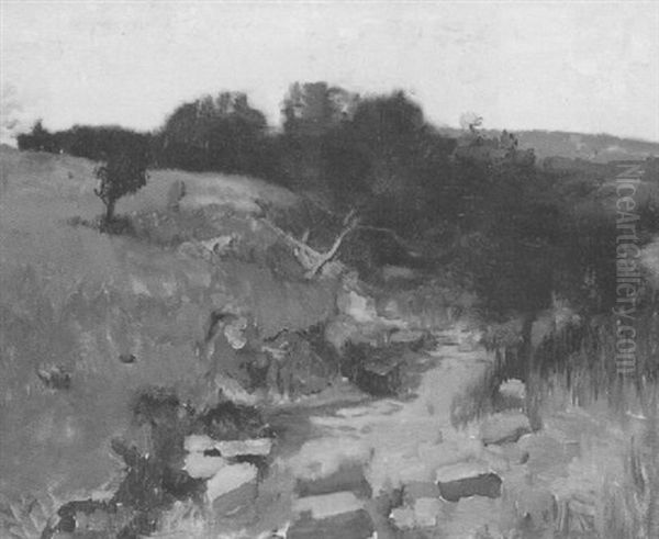 Dalwhat Glen, Moniaive - view 1