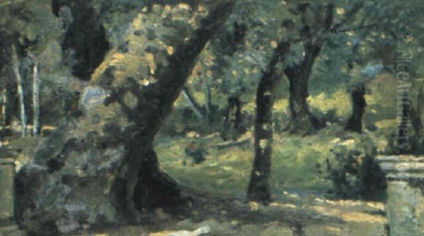 Nel Bosco - view 1