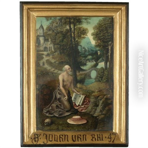 The Penitent Saint Jerome - view 1