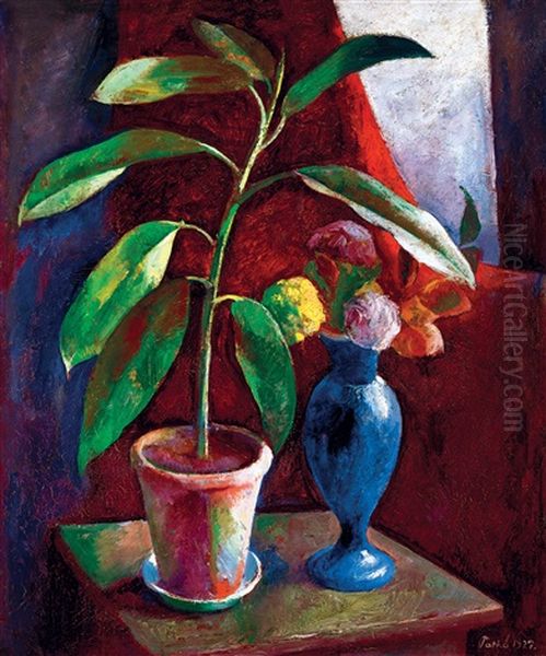 Studio Still Life - view 1