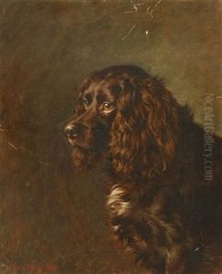 A Study Of A Spaniel by Frank Paton