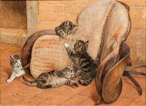 Kittens Playing Around A Saddle - view 1