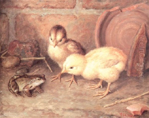 You're No Chicken - view 1