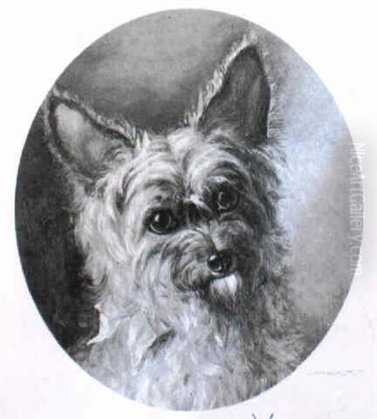 Yorkshire Terrier With A Blue Bow - view 1