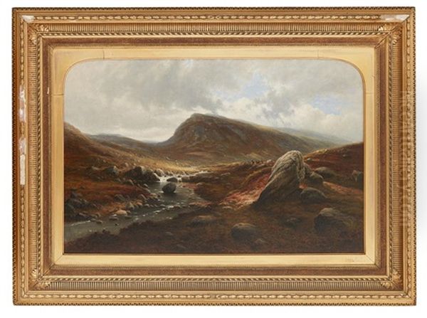 Glen Callater, Braemar - view 1