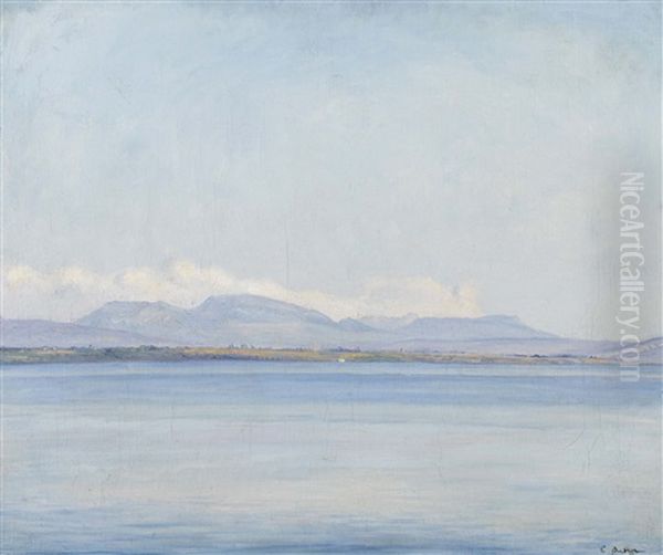 Weite Seelandschaft - view 1