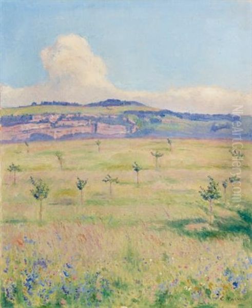 Saleve (saleve) - view 1