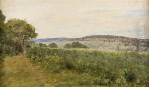 Paysage De Collines Aux Environs De Quimperle