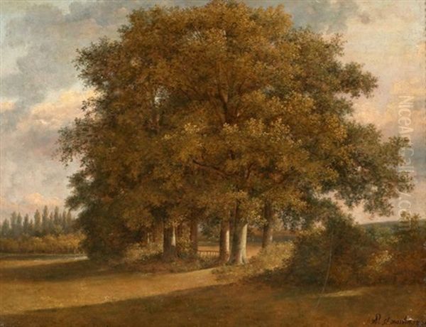 Paysage Aux Grands Arbres Dans Une Plaine - view 1