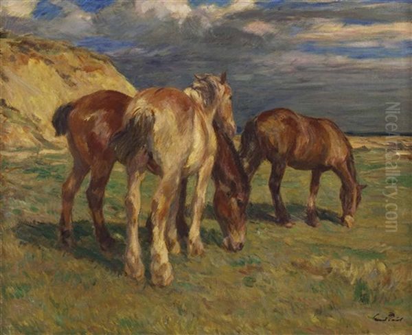 Pferde Auf Der Weide - view 1