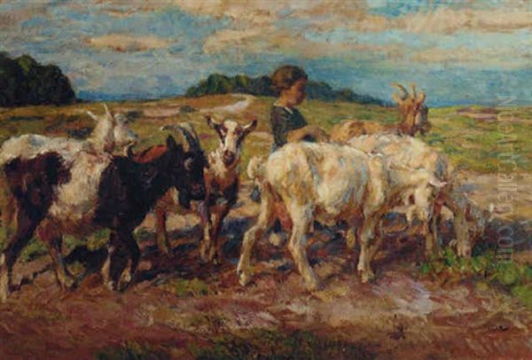 Young Boy Herding Goats In A Summer Landscape - view 1
