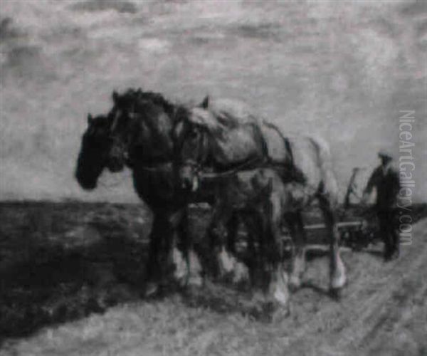 Auf Dem Feld - view 1