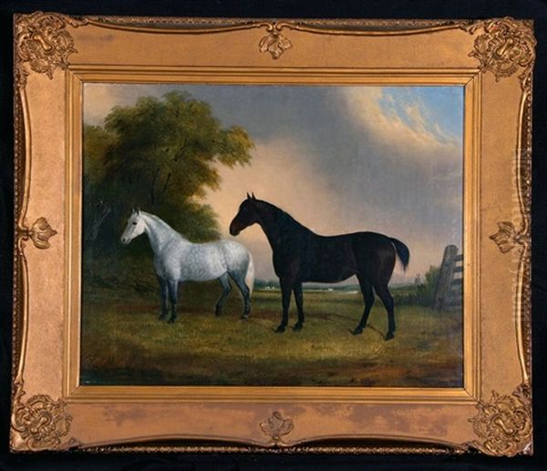 Two Horses In Landscape - view 1