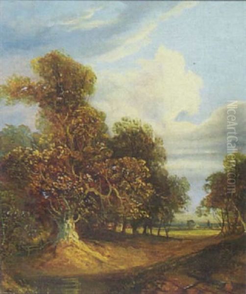 Wooded Landscape - view 1