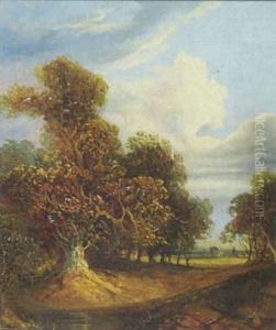 Wooded Landscape