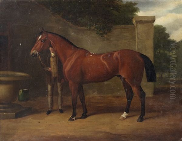 The Collier - view 1