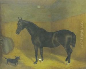 Study Of A Hunter In A Stable With A Dog by John Paul