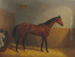 Portrait Of A Stallion In A Stable