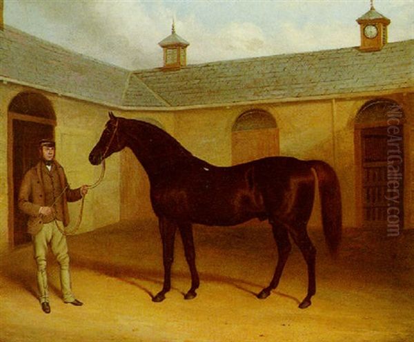 "retriever", A Bay Racehorse Held By A Groom In A Stable Yard - view 1