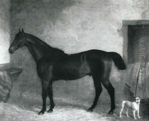 Dark Bay Hunter With A Terrier In A Loose Box