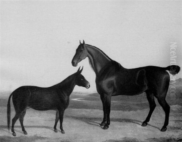 A Bay Hunter With A Donkey In A Landscape - view 1
