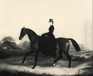 An Elegant Lady On Her Hunter