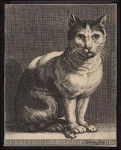 Cat With A Mouse