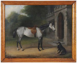 Dapple Gray Horse And Dog Dapple Gray Horse And Dog