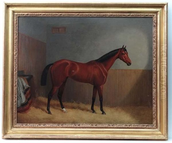 A Bay Racehorse Within A Stable With Initials To Blanket Bch - view 1