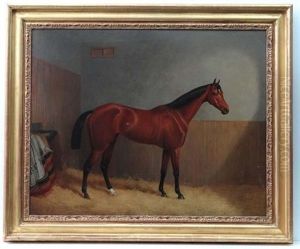 A Bay Racehorse Within A Stable With Initials To Blanket Bch