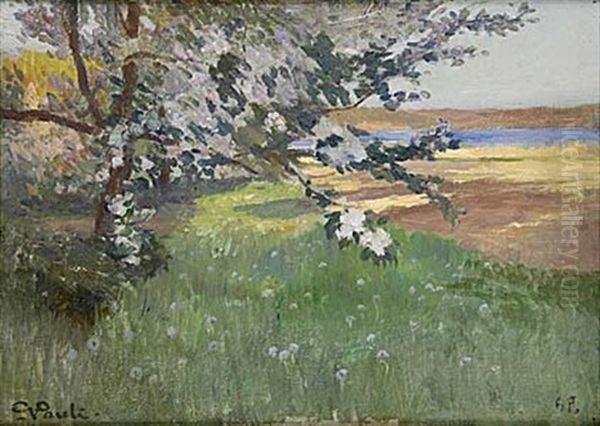 Blommande Korsbarstrad - view 1