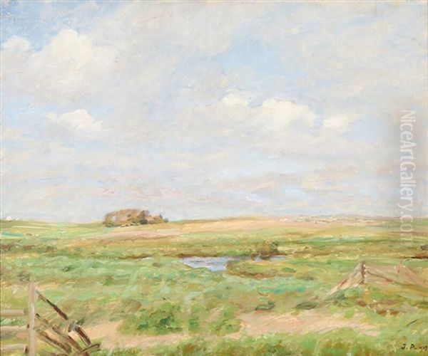 A Danish Landscape On A Summer Day - view 1