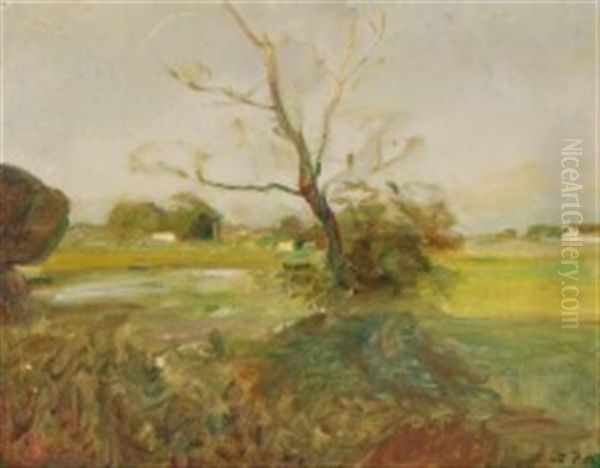 Landscape From Tibirke - view 1
