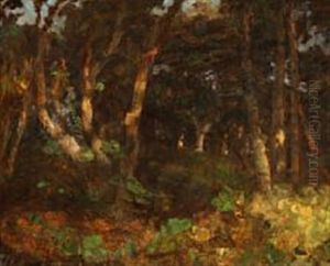 Aftensol I Skagens Plantage by Julius Paulsen