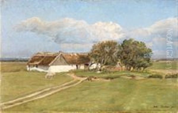 Summer Day On The Country Side - view 1