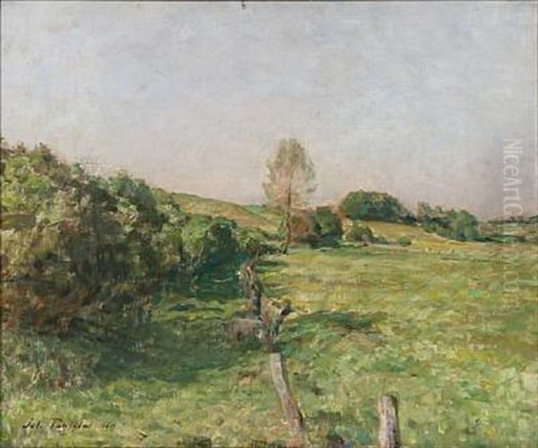 Danish Summer Landscape - view 1