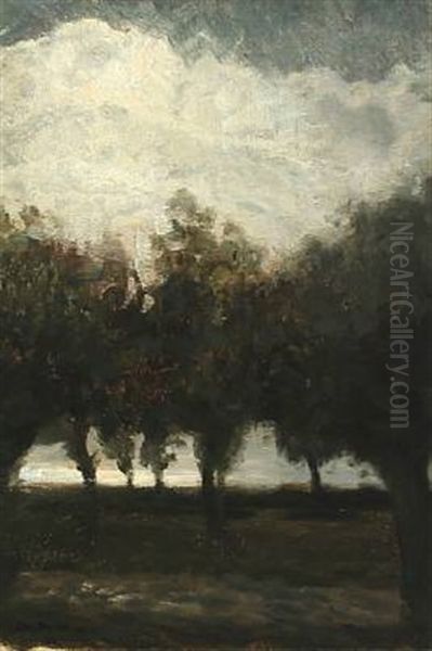 A Landscape Scene With Trees And Clouds In The Sky - view 1