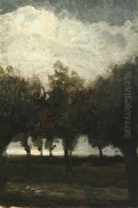 A Landscape Scene With Trees And Clouds In The Sky A Landscape Scene With Trees And Clouds In The Sky