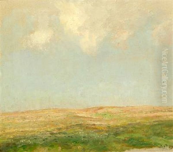 Hilly Landscape - view 1