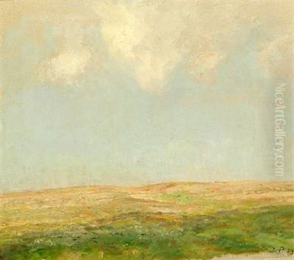 A Field With Clouds Above - view 1