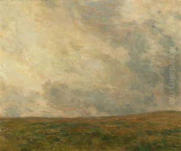 Landscape In Cloudy Weather - view 1