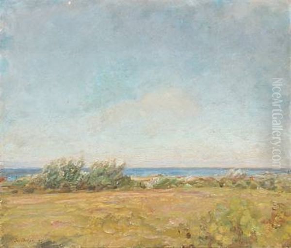 Coastal Landscape From The North Of Zealand - view 1